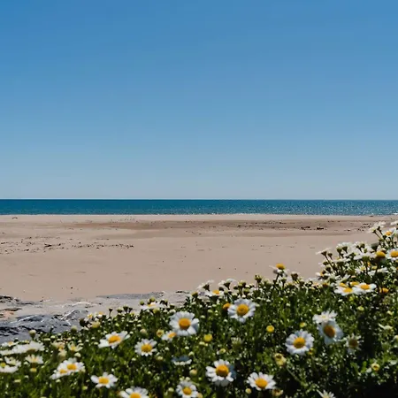 Appartement Moderne 3 Pieces, A 300m Plage, Parking, Wifi, Narbonne-plage - Fr-1-409-214