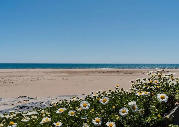 公寓 Moderne 3 Pieces, A 300m Plage, Parking, Wifi, Narbonne-plage - Fr-1-409-214